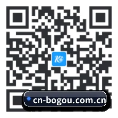 系统版 iOS 二维码